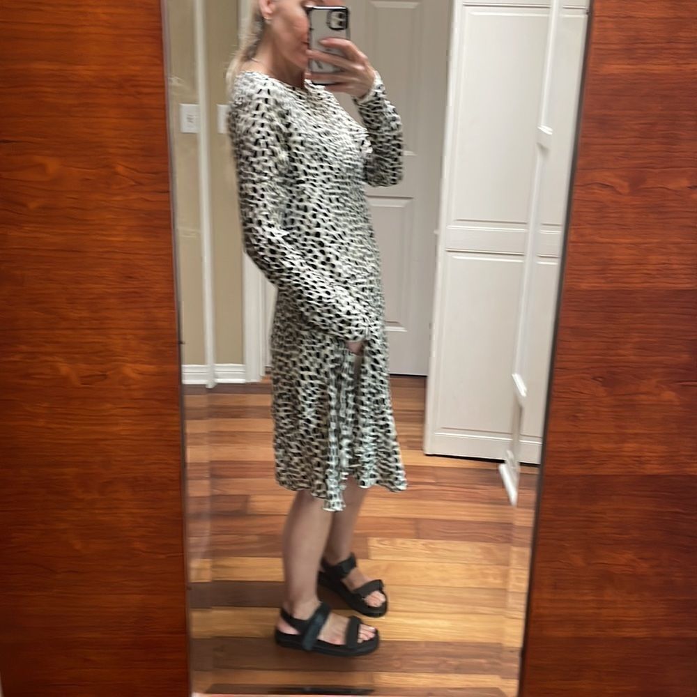 Flawed Chloe Silk Leopard Tent Dress 38 - Picture 6 of 16